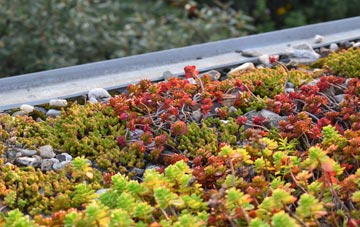 the cost of Bluecairn green roof installation
