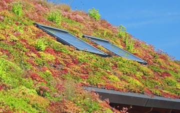 Bluecairn living roof systems